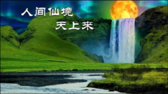 逗小猴开心系列181