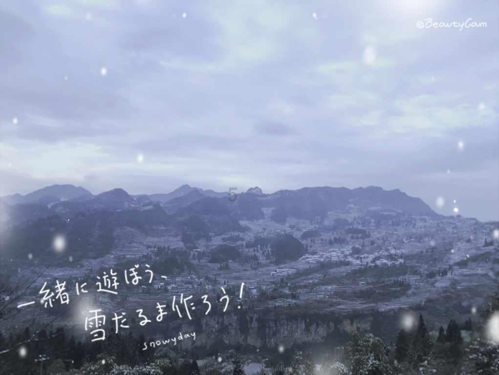 救援可爱小松鼠