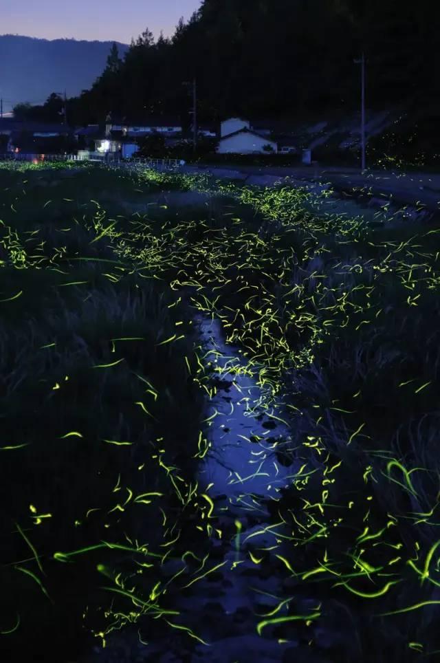 推进流域深层次治理 开发特色生态产品