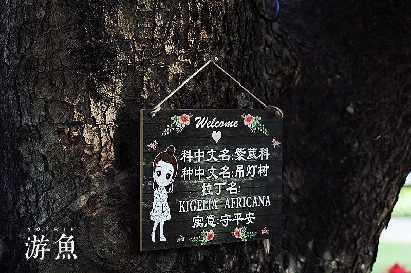 极速赛车找不同
