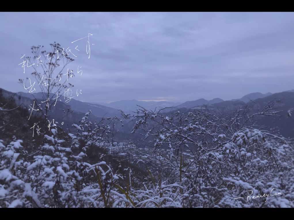 永定区枫香岗街道：无偿献血 情暖冬季