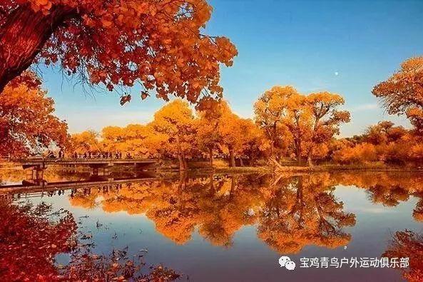 镜之边缘：催化剂