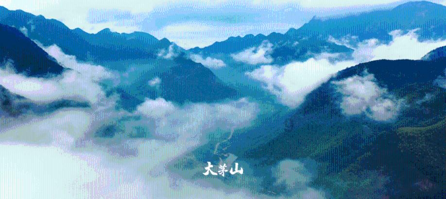 死亡细胞