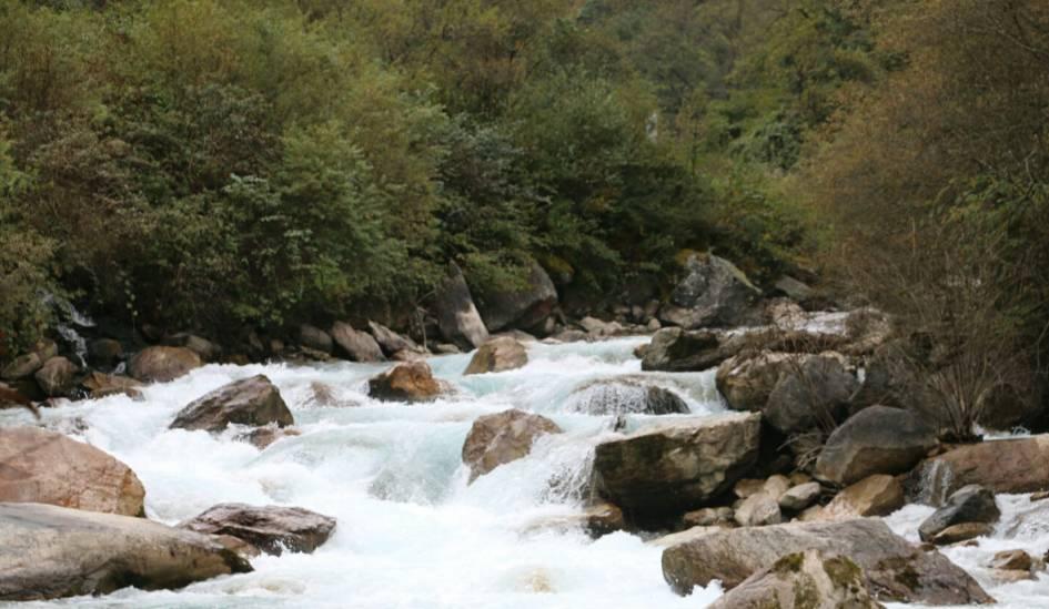水好味鲜!新疆“内陆海鲜”24小时运抵餐桌